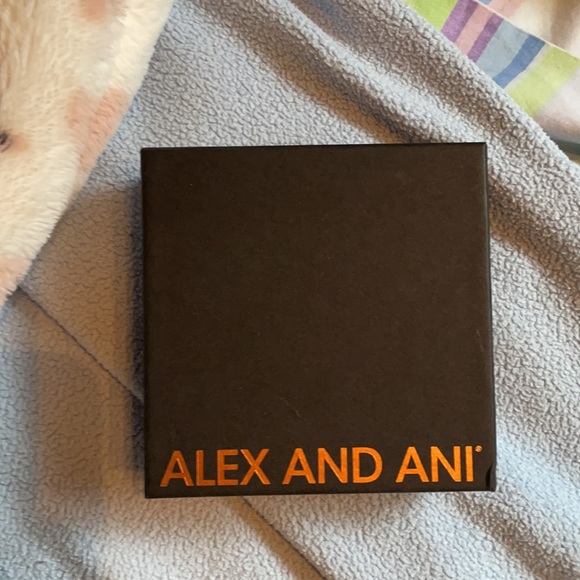 Alex and Ani celebrate today bracelet - Picture 5 of 5